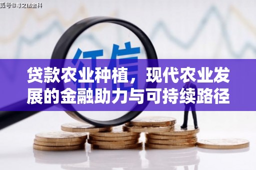 略阳贷款农业种植，现代农业发展的金融助力与可持续路径