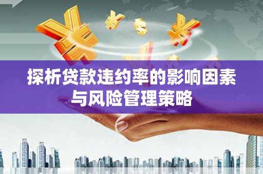 略阳探析贷款违约率的影响因素与风险管理策略