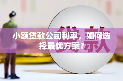 略阳小额贷款公司利率，如何选择最优方案？