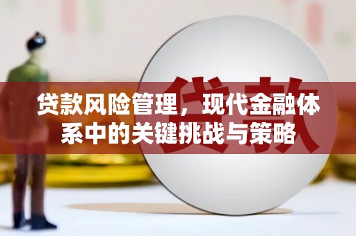 略阳贷款风险管理，现代金融体系中的关键挑战与策略