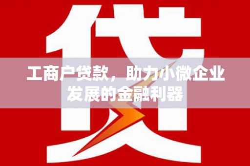 略阳工商户贷款，助力小微企业发展的金融利器