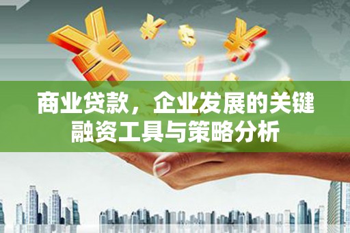 略阳商业贷款，企业发展的关键融资工具与策略分析