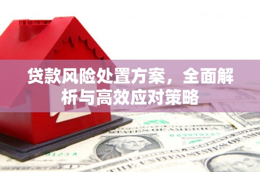 略阳贷款风险处置方案，全面解析与高效应对策略
