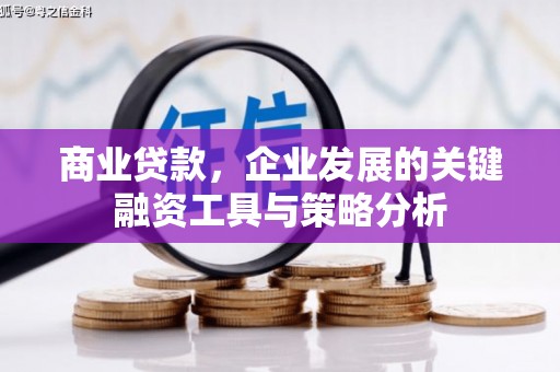 略阳商业贷款，企业发展的关键融资工具与策略分析