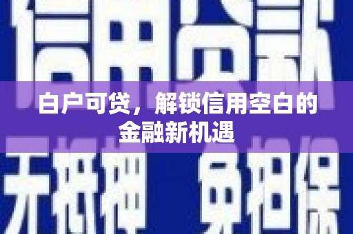 略阳白户可贷，解锁信用空白的金融新机遇