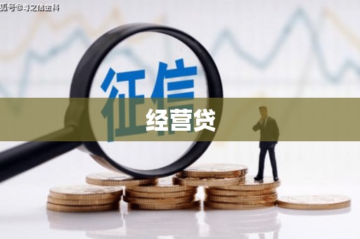 略阳经营贷