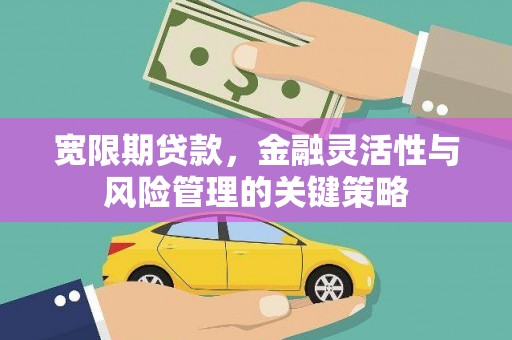 略阳宽限期贷款，金融灵活性与风险管理的关键策略