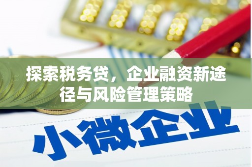 略阳探索税务贷，企业融资新途径与风险管理策略