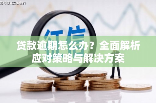 略阳贷款逾期怎么办？全面解析应对策略与解决方案