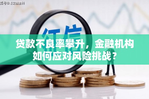略阳贷款不良率攀升，金融机构如何应对风险挑战？