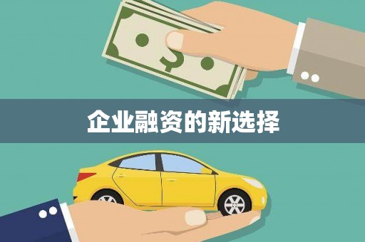 略阳企业融资的新选择