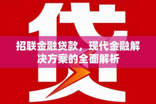 略阳招联金融贷款，现代金融解决方案的全面解析