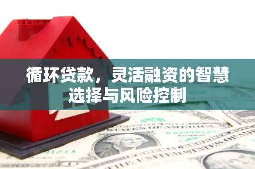 略阳循环贷款，灵活融资的智慧选择与风险控制