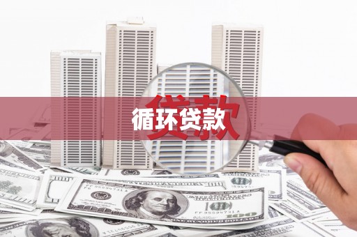 略阳循环贷款