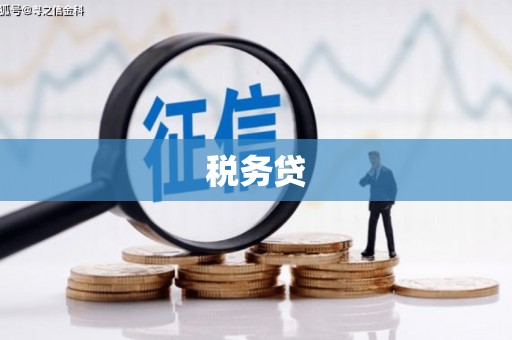 略阳税务贷