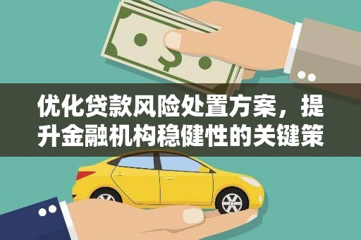 略阳优化贷款风险处置方案，提升金融机构稳健性的关键策略