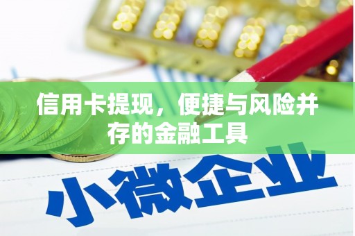 略阳信用卡提现，便捷与风险并存的金融工具