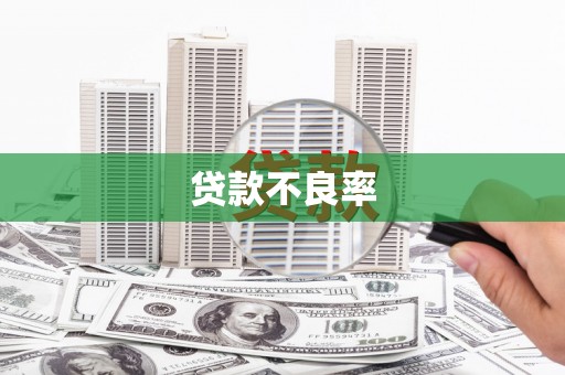 略阳贷款不良率