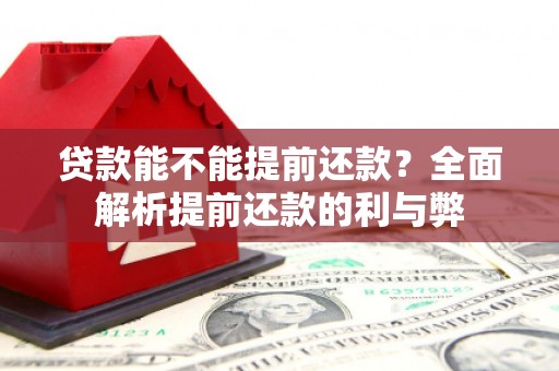 略阳贷款能不能提前还款？全面解析提前还款的利与弊