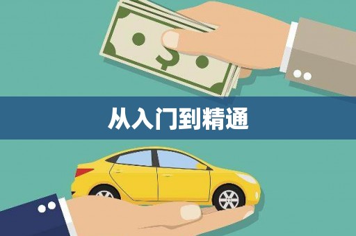 略阳从入门到精通