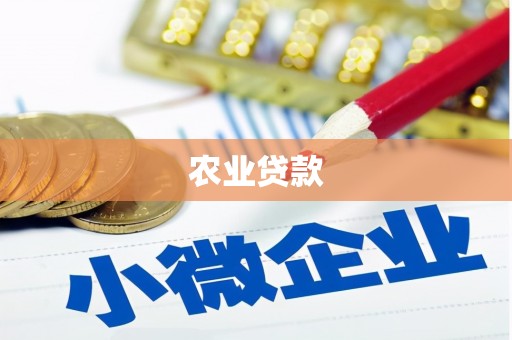 略阳农业贷款