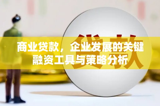 略阳商业贷款，企业发展的关键融资工具与策略分析