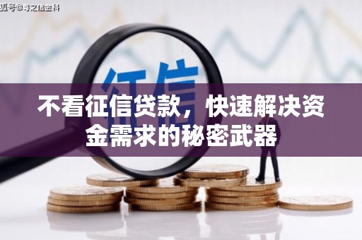 略阳不看征信贷款，快速解决资金需求的秘密武器