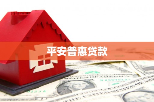略阳平安普惠贷款