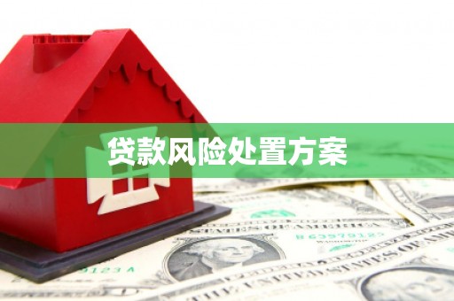 略阳贷款风险处置方案