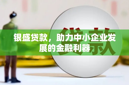 略阳银盛贷款，助力中小企业发展的金融利器