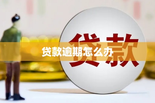 略阳贷款逾期怎么办