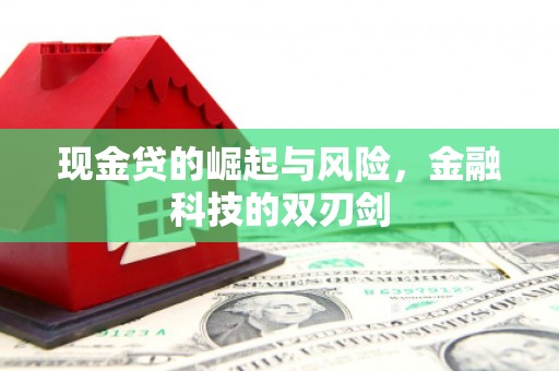 略阳现金贷的崛起与风险，金融科技的双刃剑