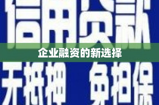 略阳企业融资的新选择