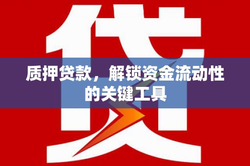 略阳质押贷款，解锁资金流动性的关键工具