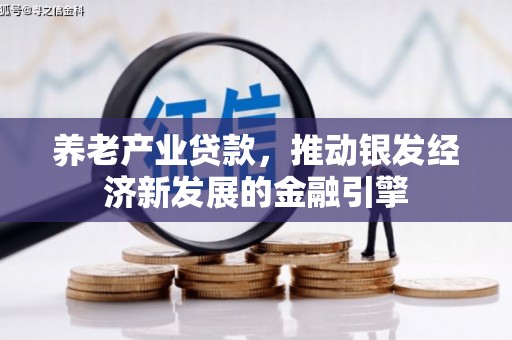 略阳养老产业贷款，推动银发经济新发展的金融引擎