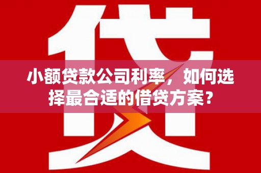 略阳小额贷款公司利率，如何选择最合适的借贷方案？