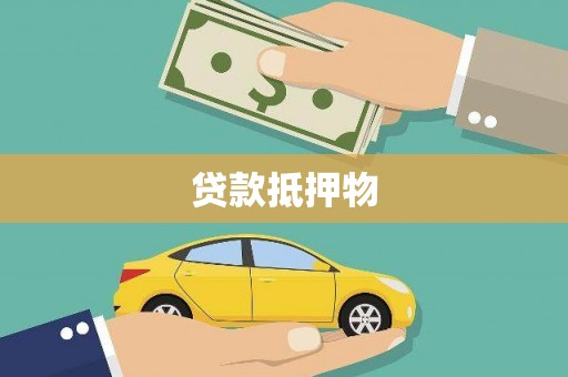 略阳贷款抵押物