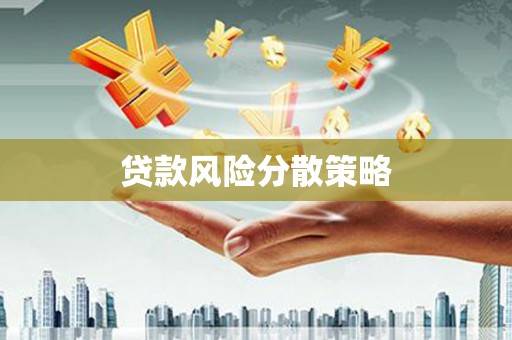 略阳贷款风险分散策略