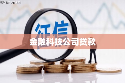 略阳金融科技公司贷款