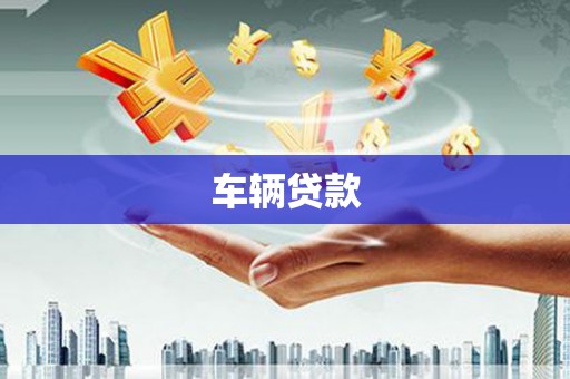 略阳车辆贷款