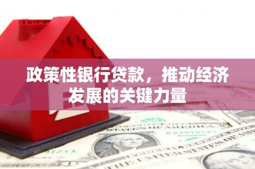略阳政策性银行贷款，推动经济发展的关键力量