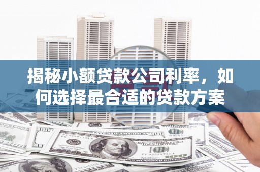 略阳揭秘小额贷款公司利率，如何选择最合适的贷款方案
