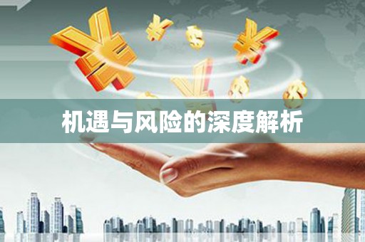略阳机遇与风险的深度解析