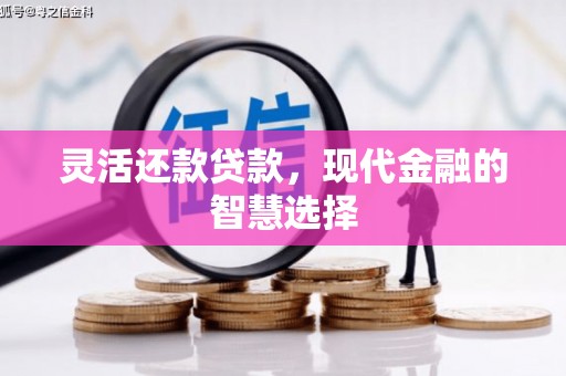略阳灵活还款贷款，现代金融的智慧选择