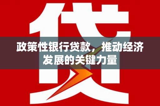 略阳政策性银行贷款，推动经济发展的关键力量