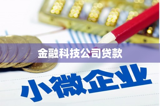 略阳金融科技公司贷款