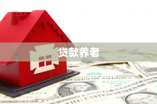 略阳贷款养老