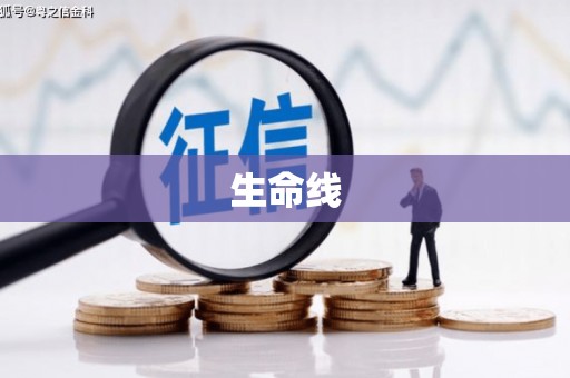 略阳生命线