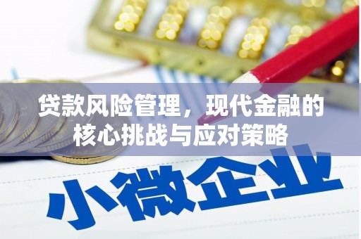 略阳贷款风险管理，现代金融的核心挑战与应对策略