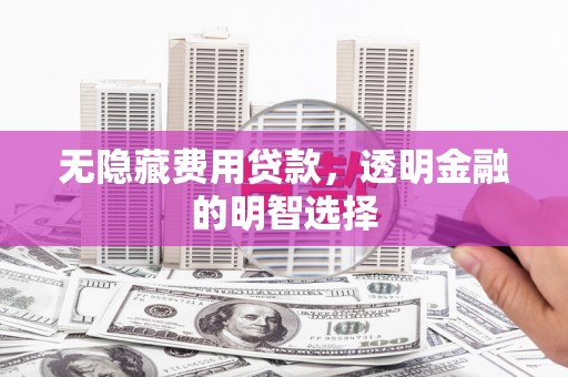 略阳无隐藏费用贷款，透明金融的明智选择